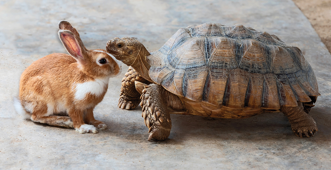 Slow Down to Catch Up