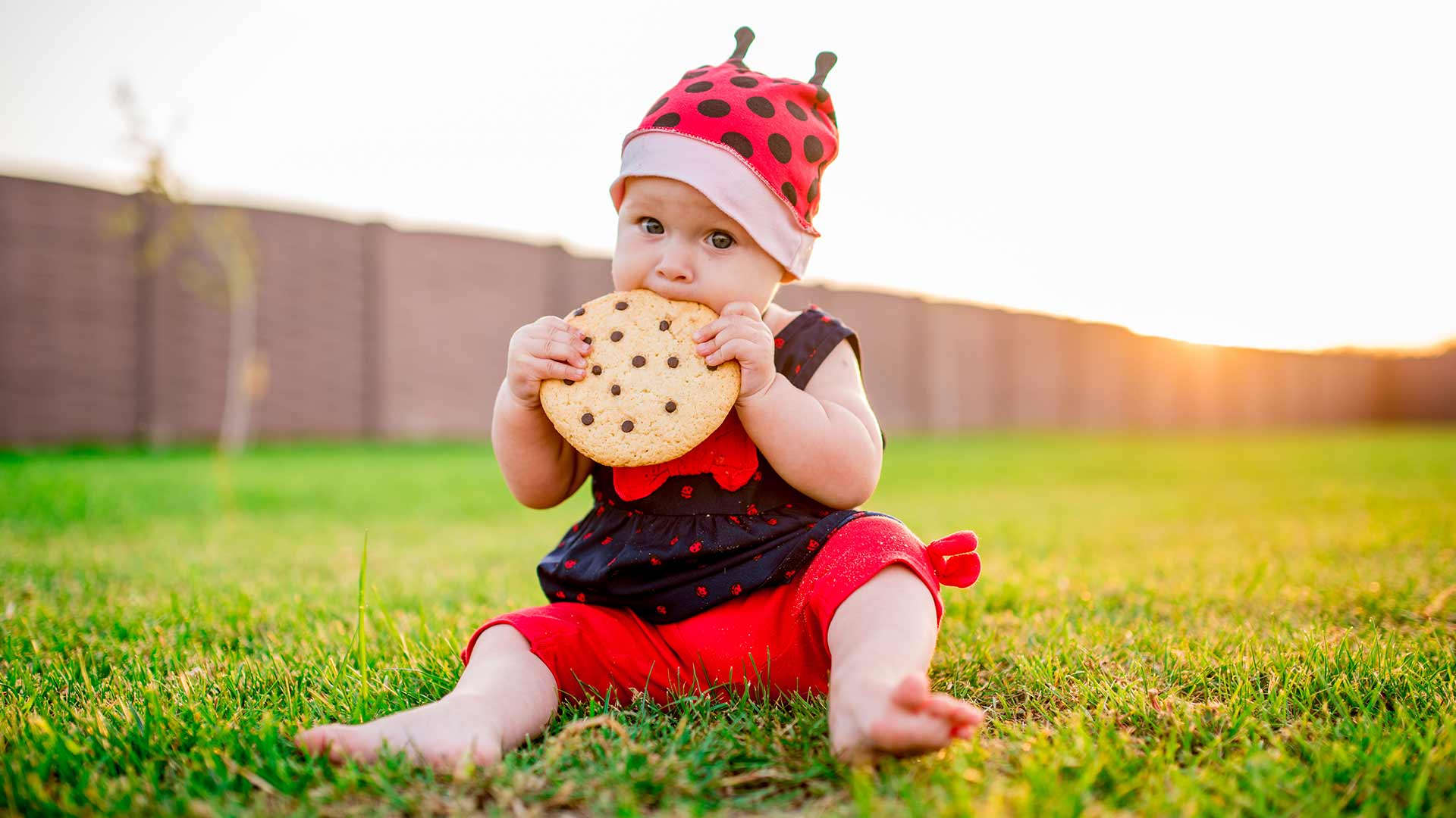 Encouraging your baby to self-feed at 10 to 12 months