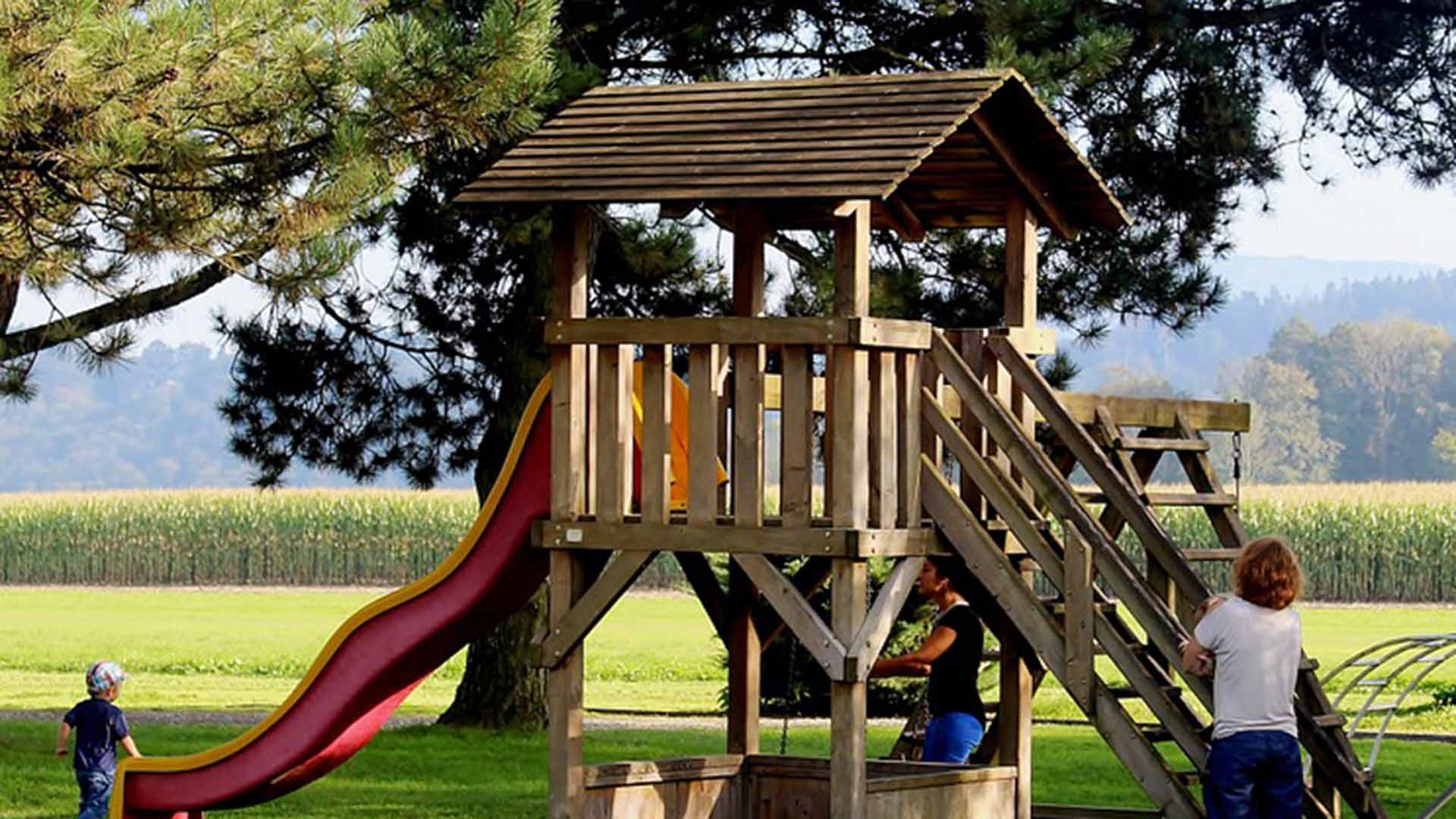 6 Tips To Turn Your Lawn Into A Playground Without Damage