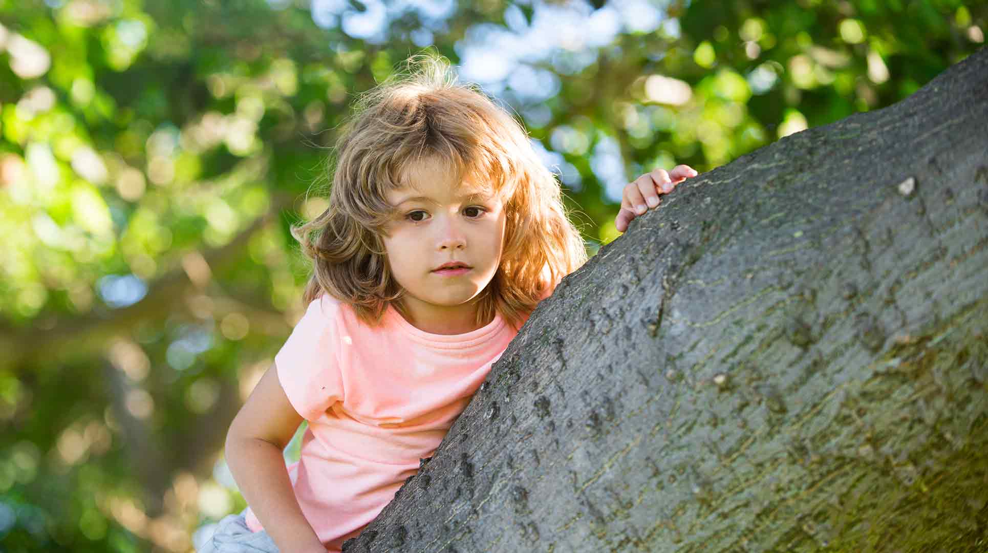 If you build it, they will climb