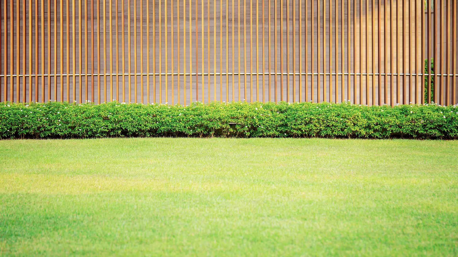 How To Transform Your Backyard Into an Entertainment Zone for Your Kids