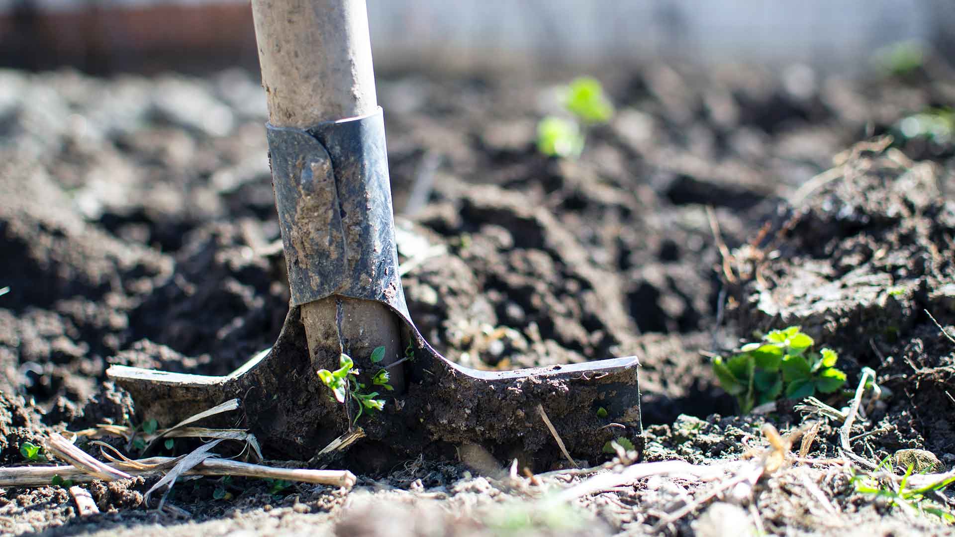 8 Awesome Additions to your Backyard