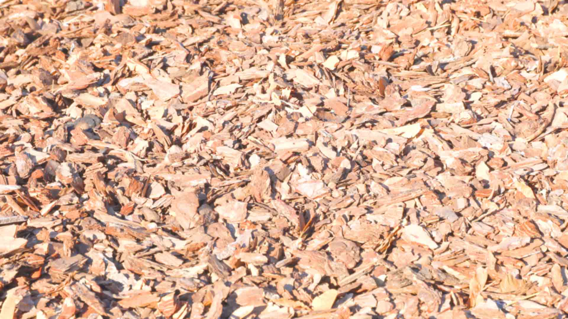 Engineered Wood Surfacing