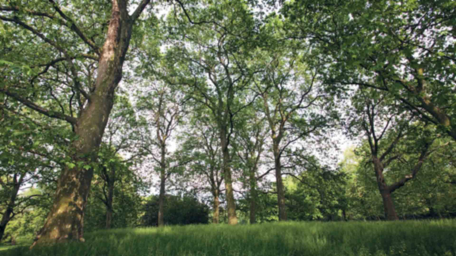 Planning a Play Space? Evaluate! 