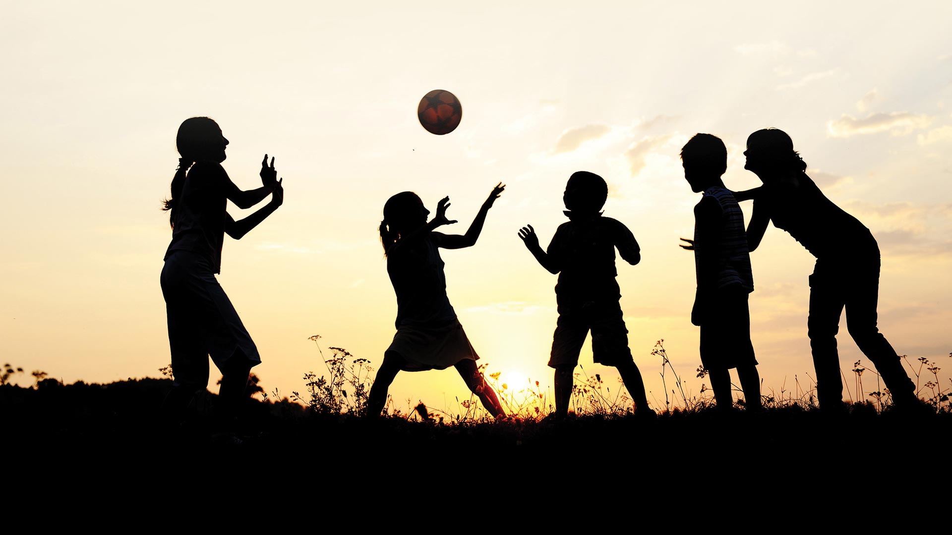 Universal Design and Social Equity in Our Parks & Playgrounds