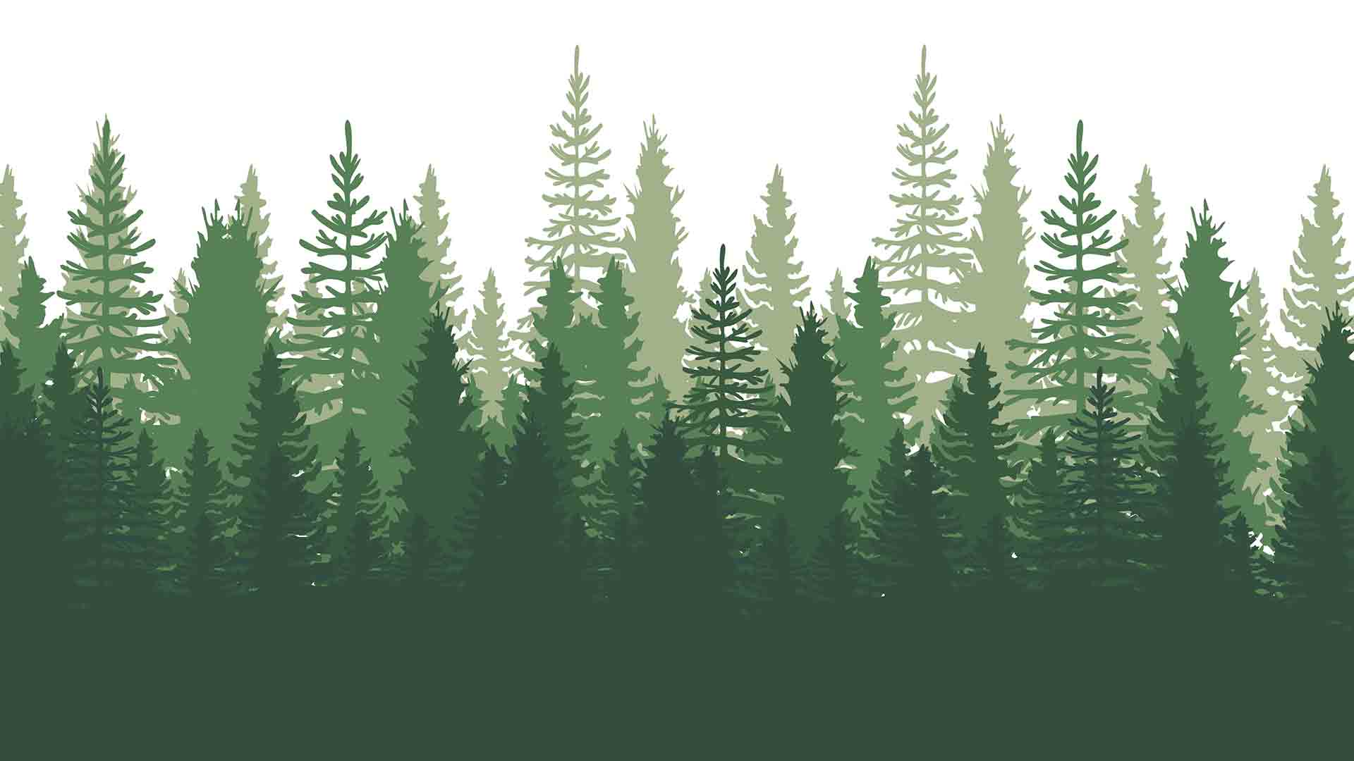 The Changing World of Wooden Playgrounds