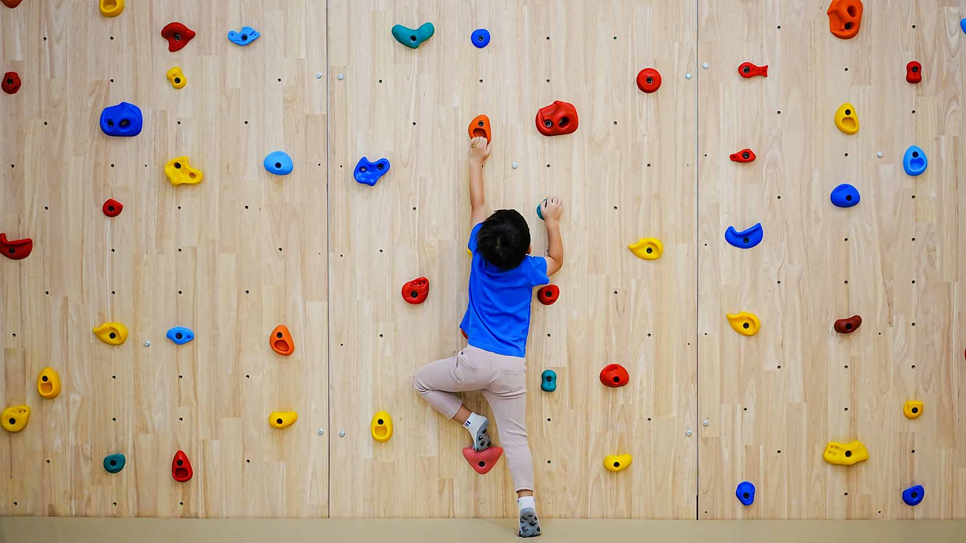 Auditing Climbing Structures and Site Amenities