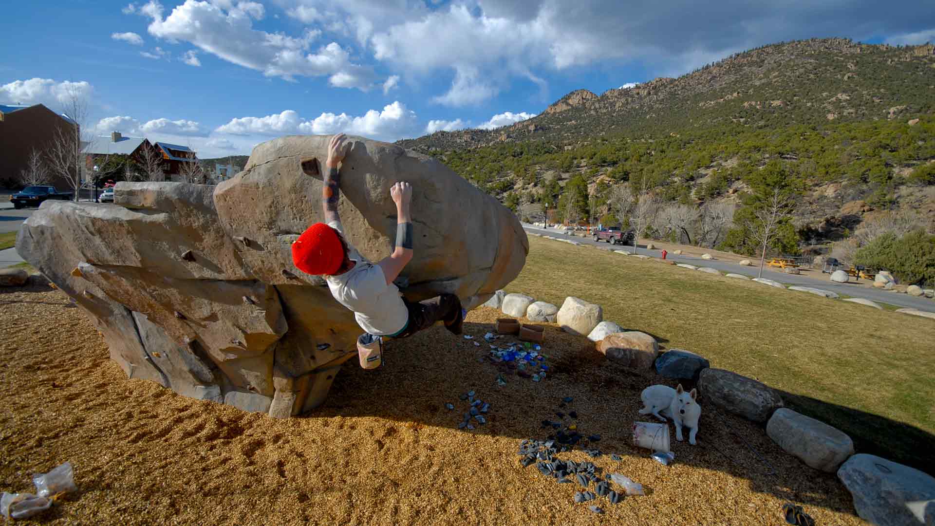 Natural Playground Climbers