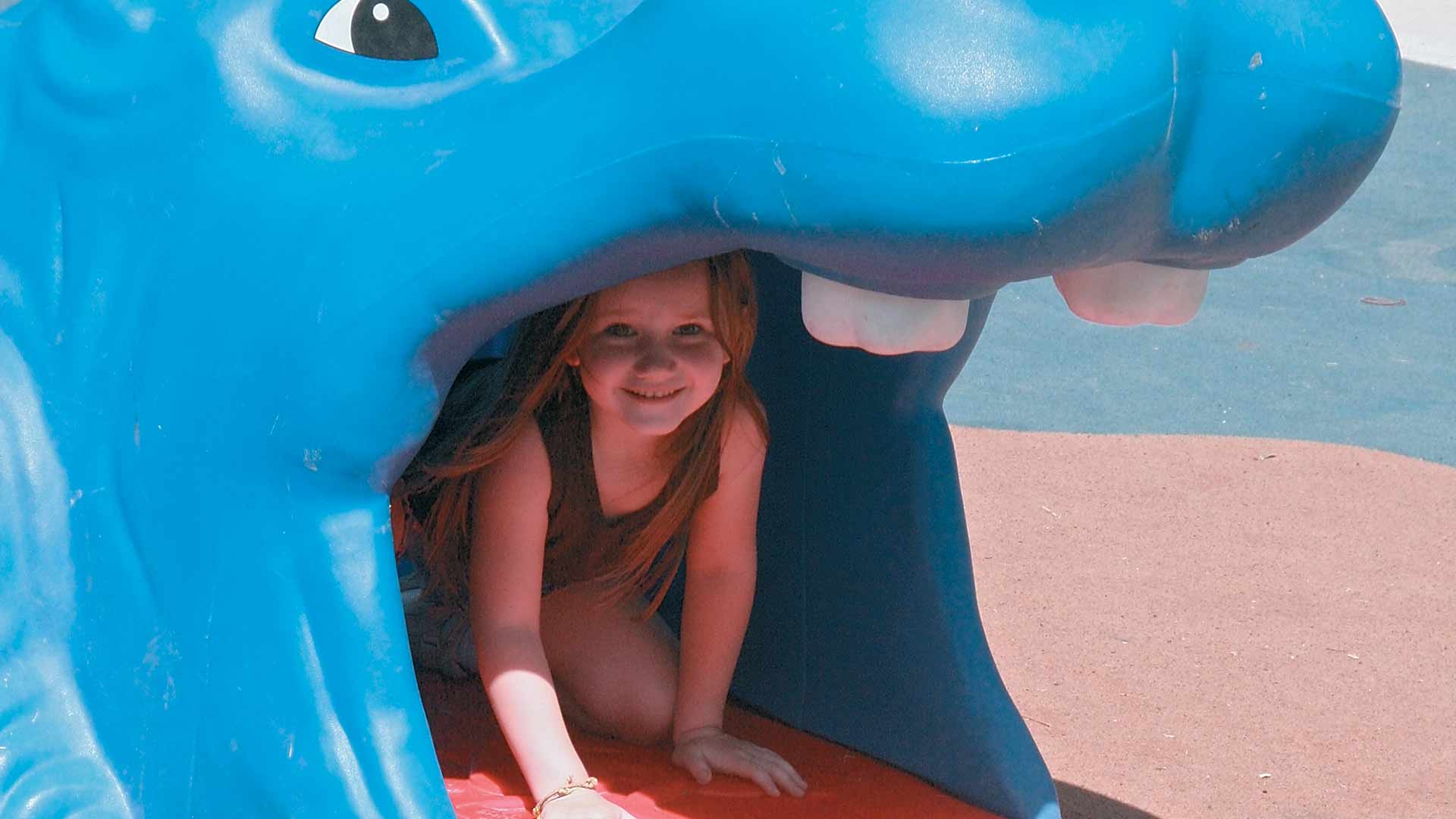 Fundraising for the Playground at Tautphaus Park