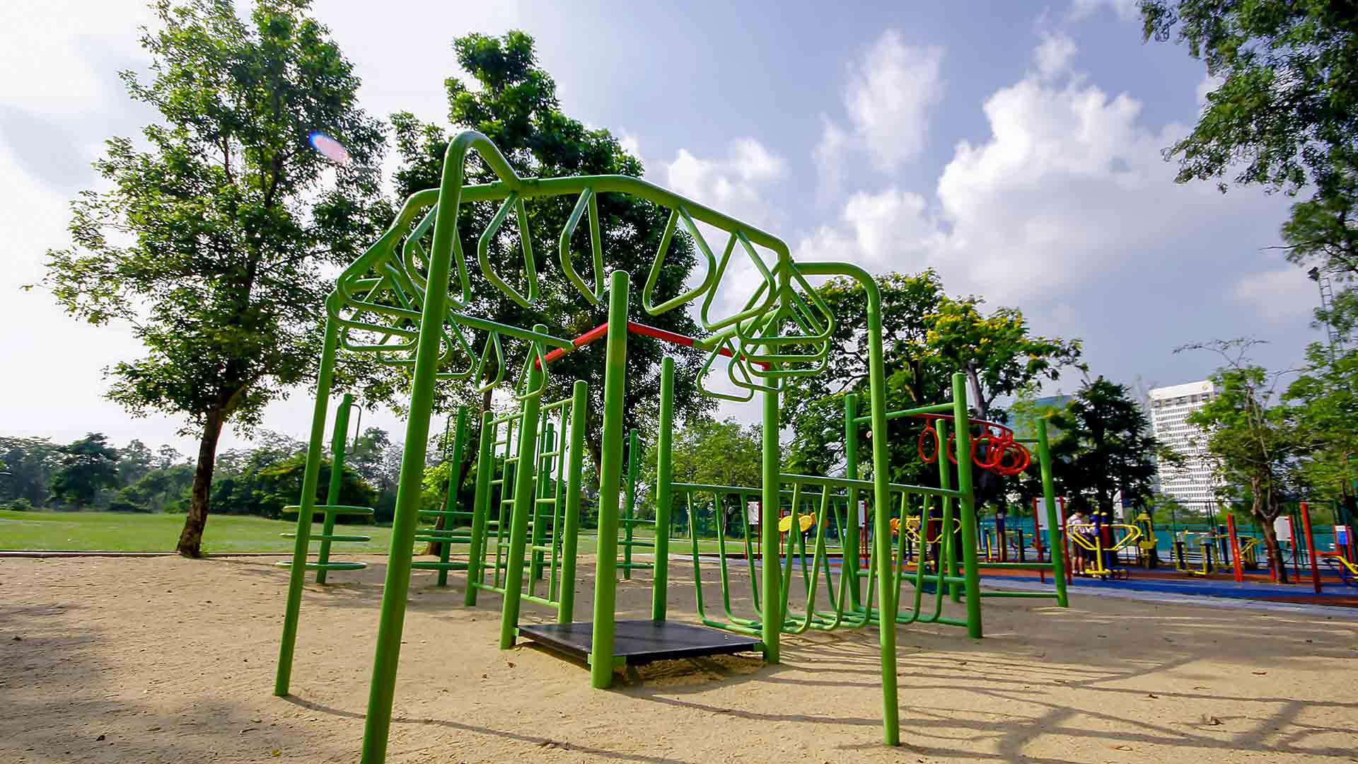 Are Trees Hazardous on Playgrounds?