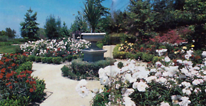 Keeping the Spirit Alive