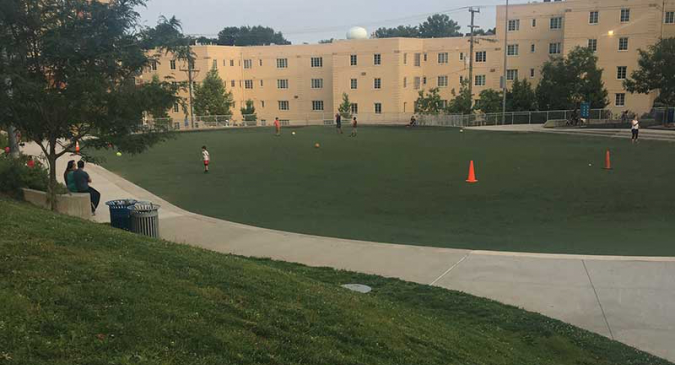 The Perks of Natural Turf