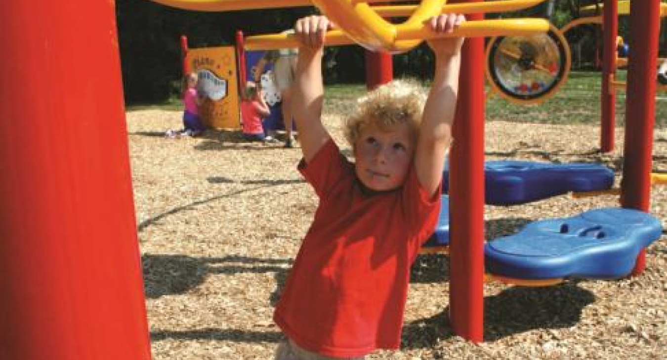 7 Elements of Play: Brachiating