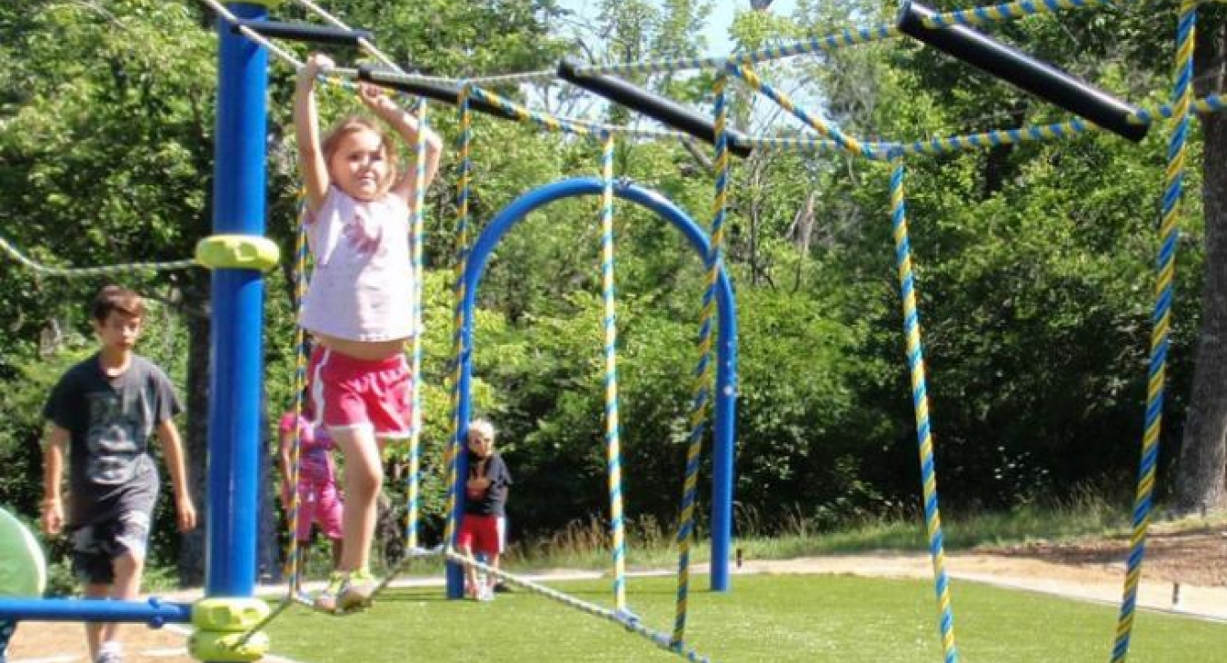 7 Elements of Play: Brachiating