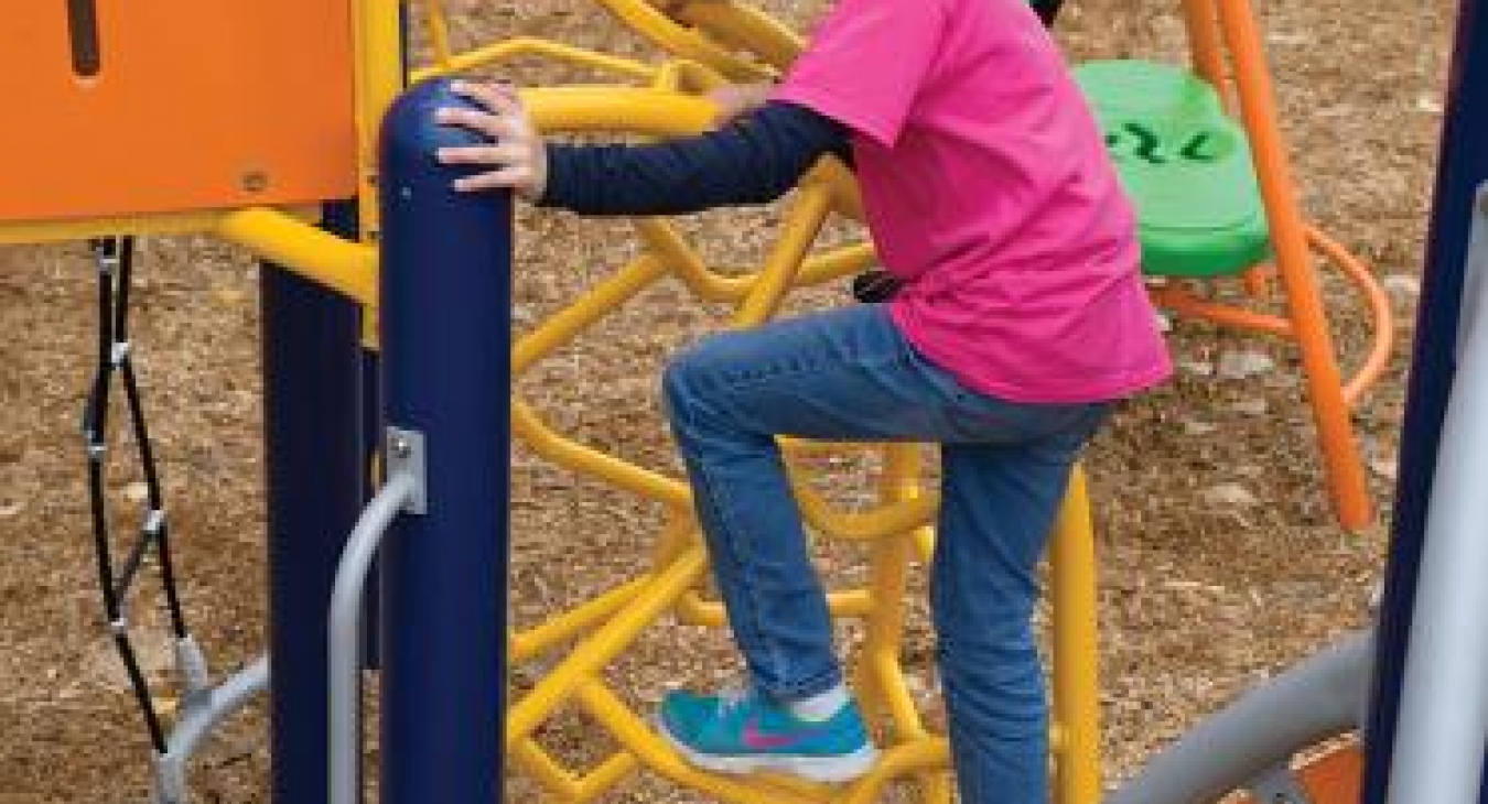 7 Elements of Play: Climbing