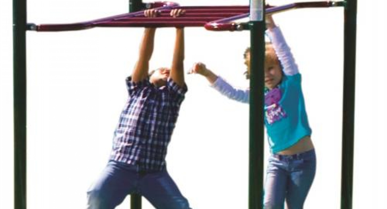 7 Elements of Play: Brachiating