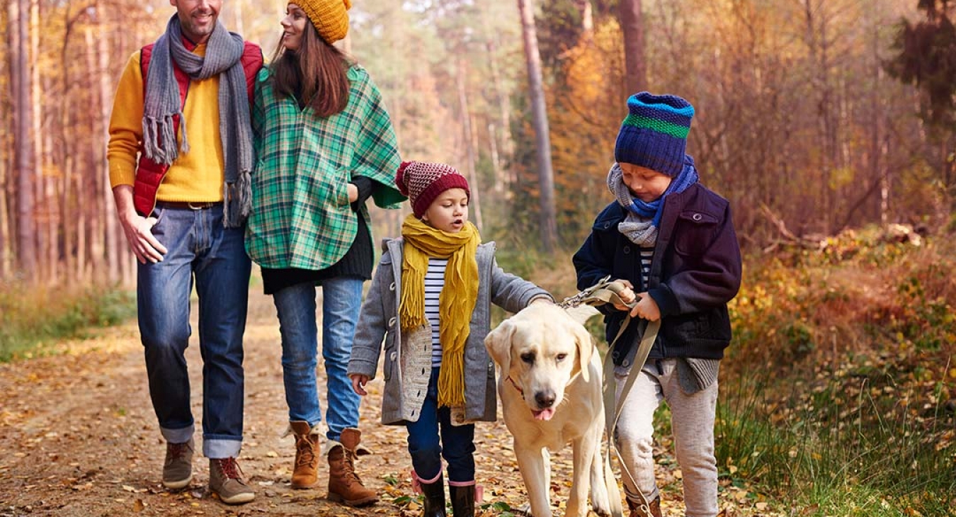 Family walking dog