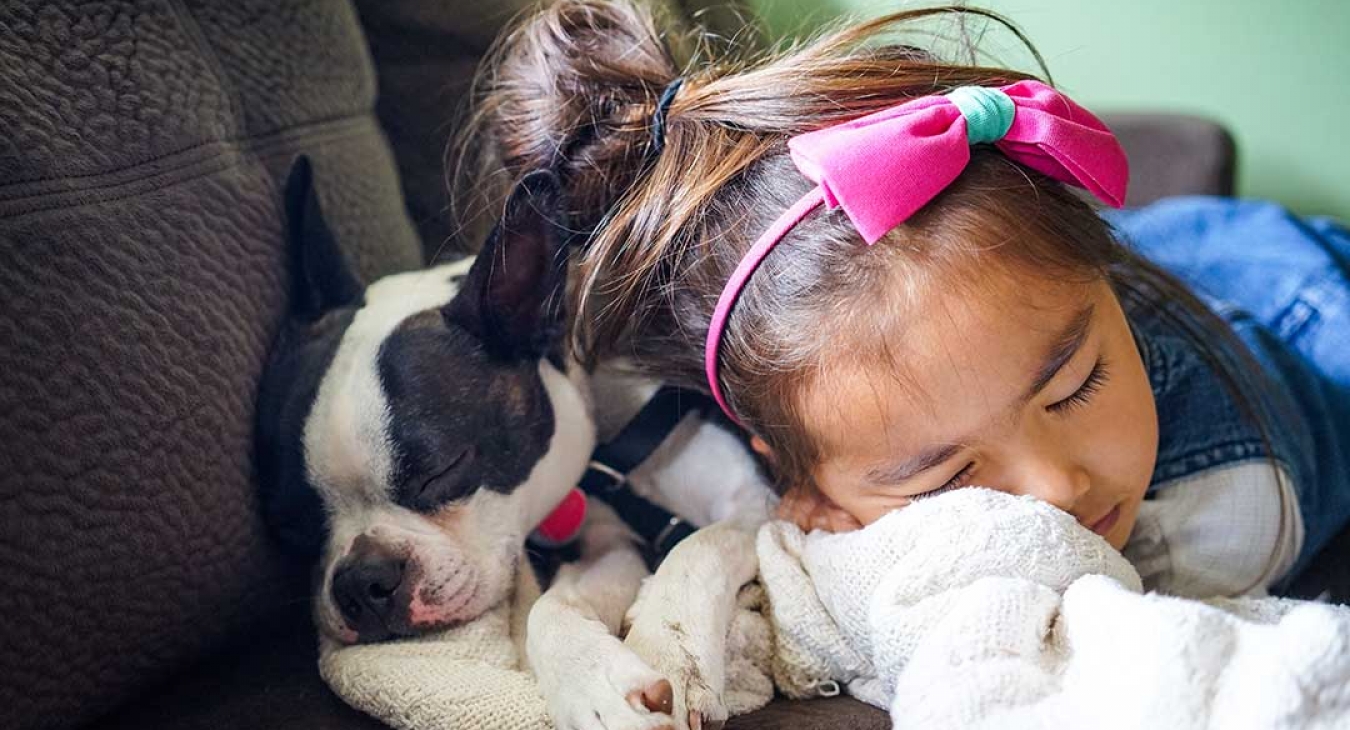 Why Dogs Can Change Children's Lives