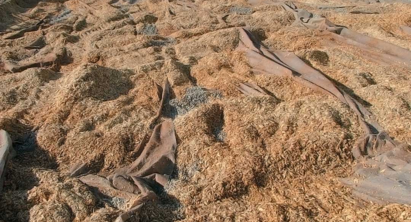 Keep a Tight Maintenance  Schedule 