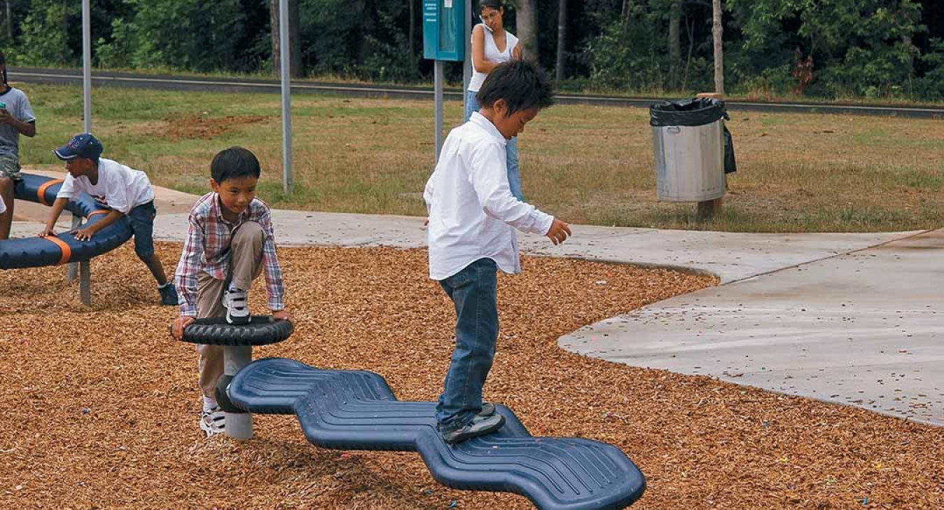 Tips for Curbing Bullying 