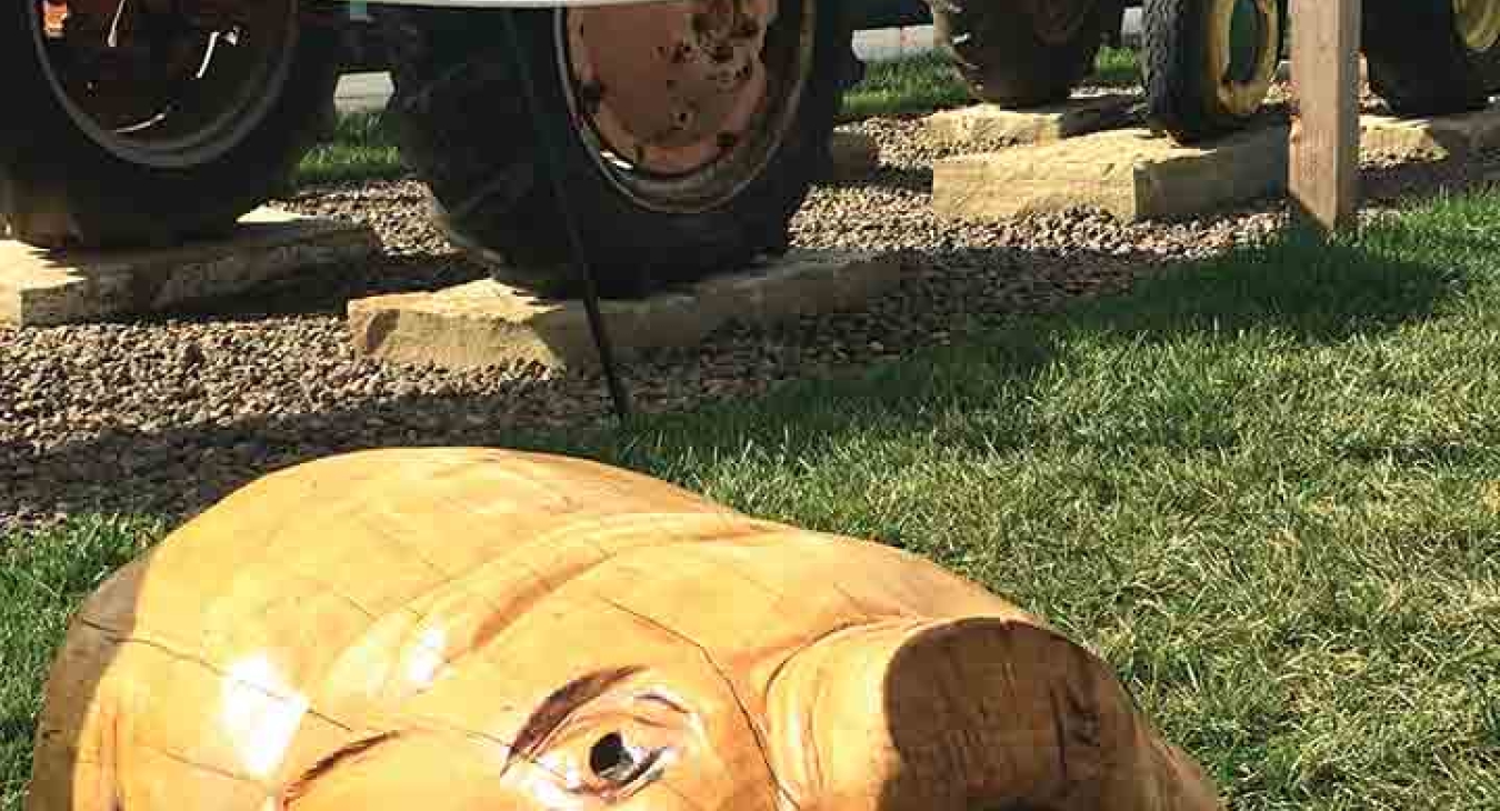 Unique Farm Themed Playground Equipment