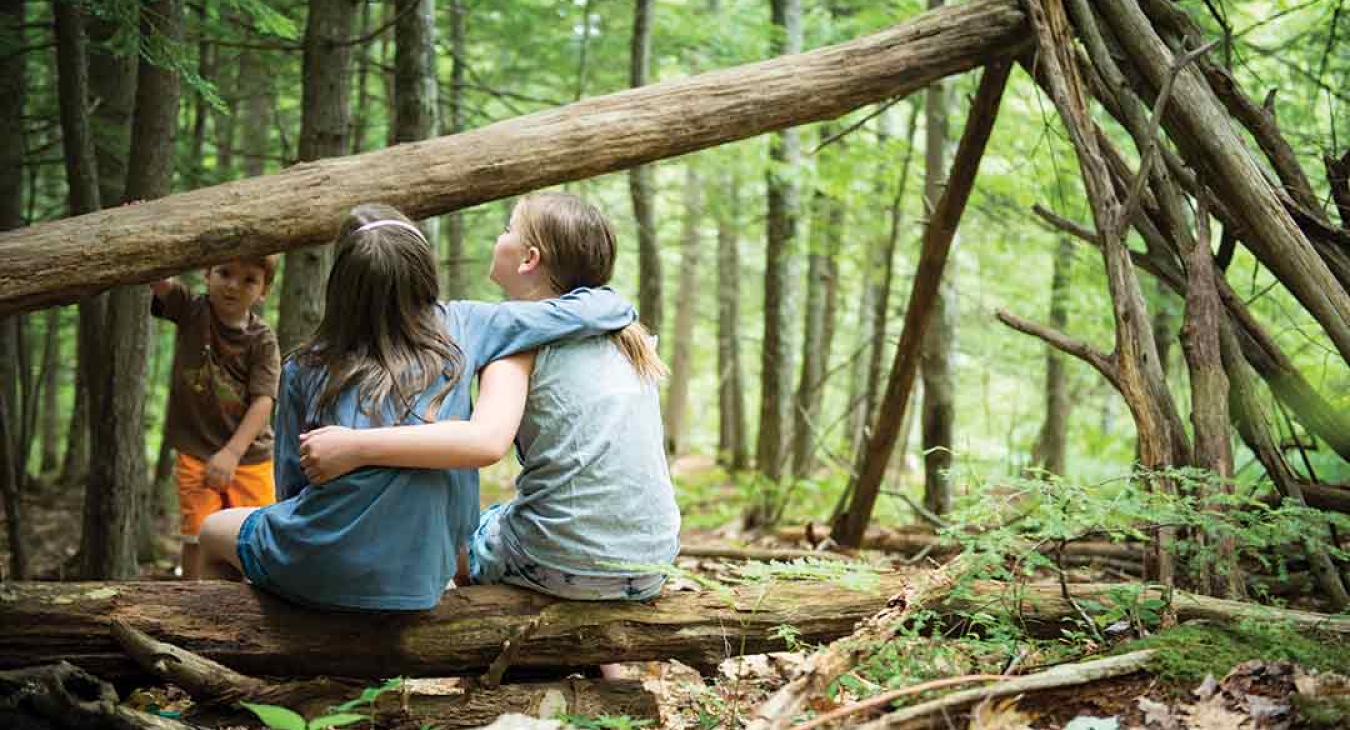 The Therapeutic Benefits of Free Play Outdoors 