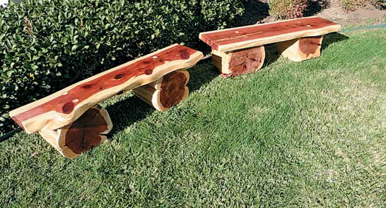 Trends in Playground Design and Amenities