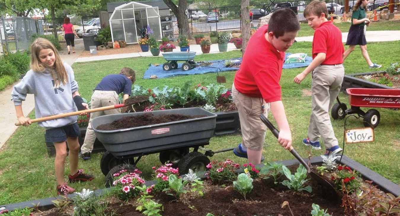 Gardening at School