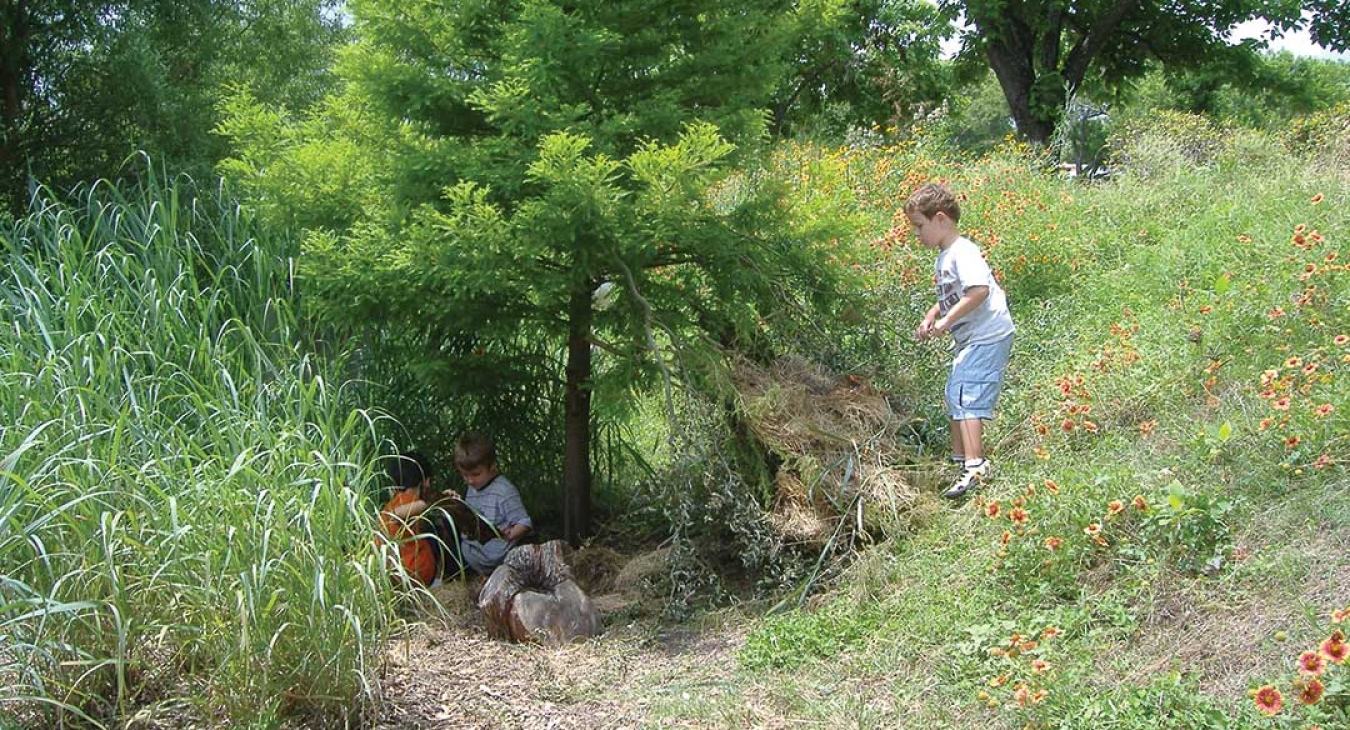 Rediscovering Nature