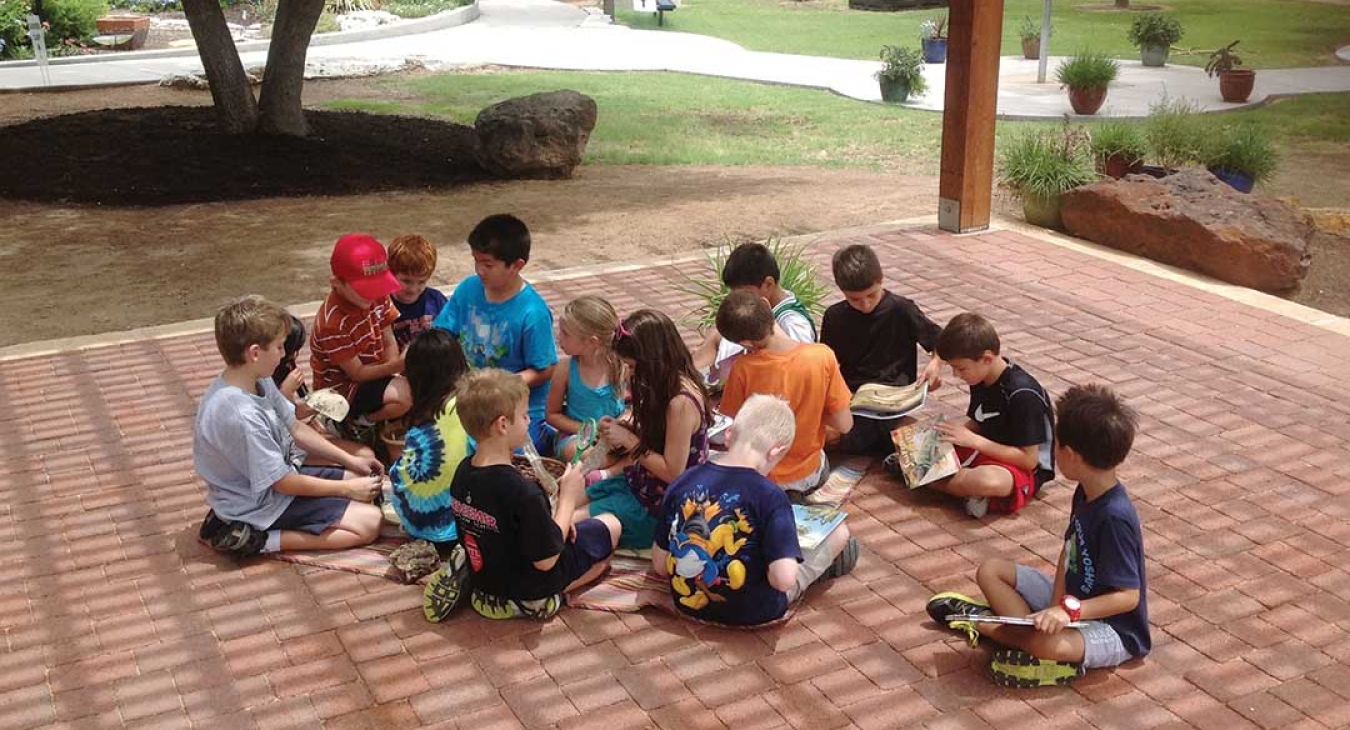 Rediscovering Nature