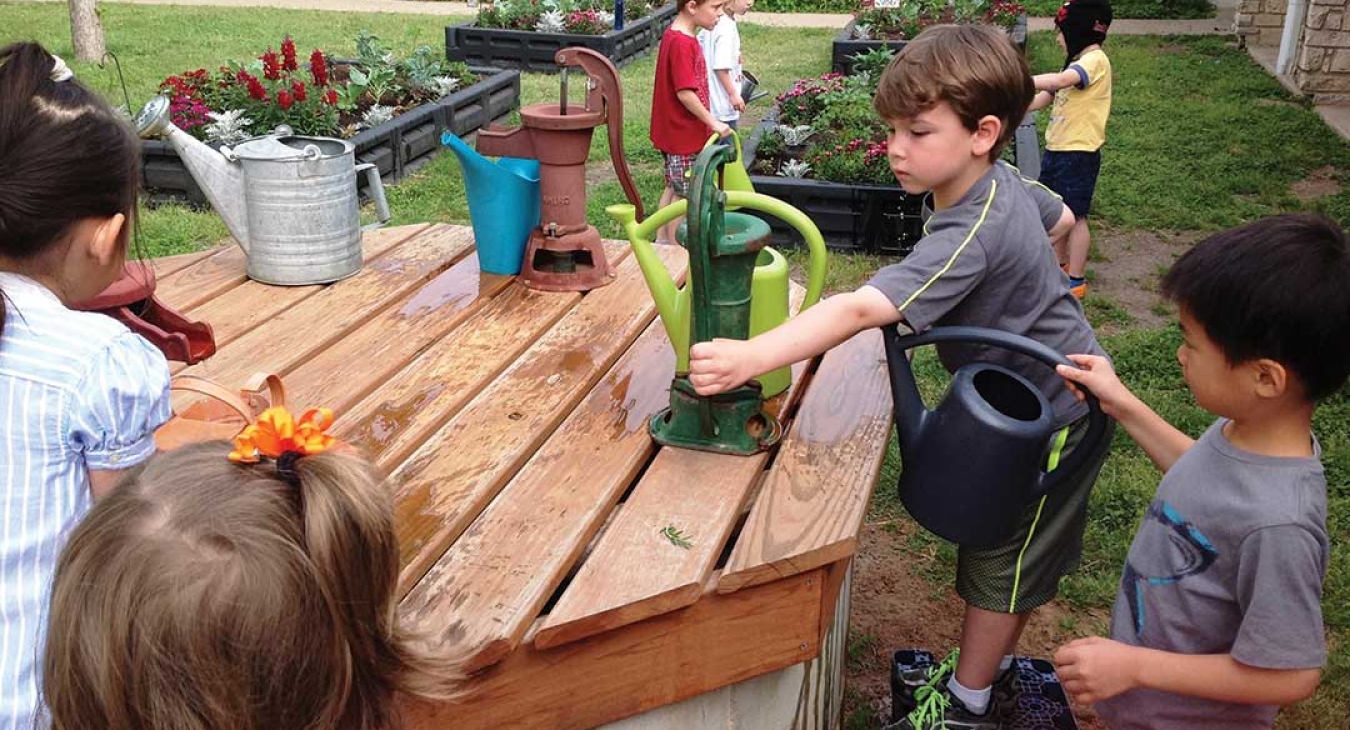 Rediscovering Nature