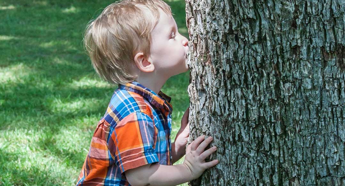 Rediscovering Nature