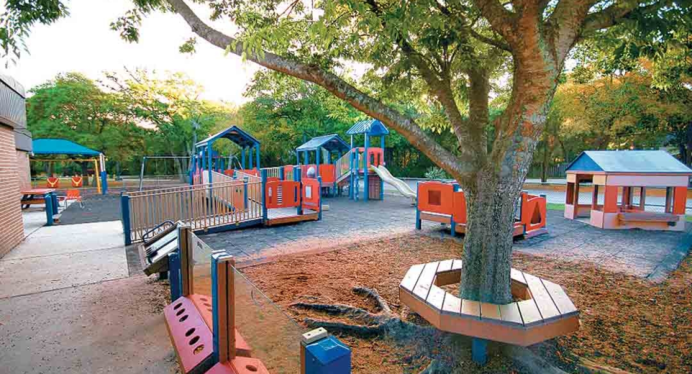 Trends in Playground Design and Amenities