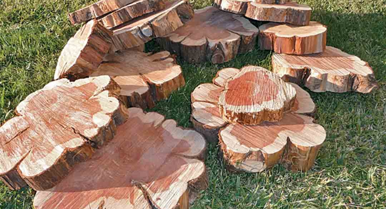 Trends in Playground Design and Amenities