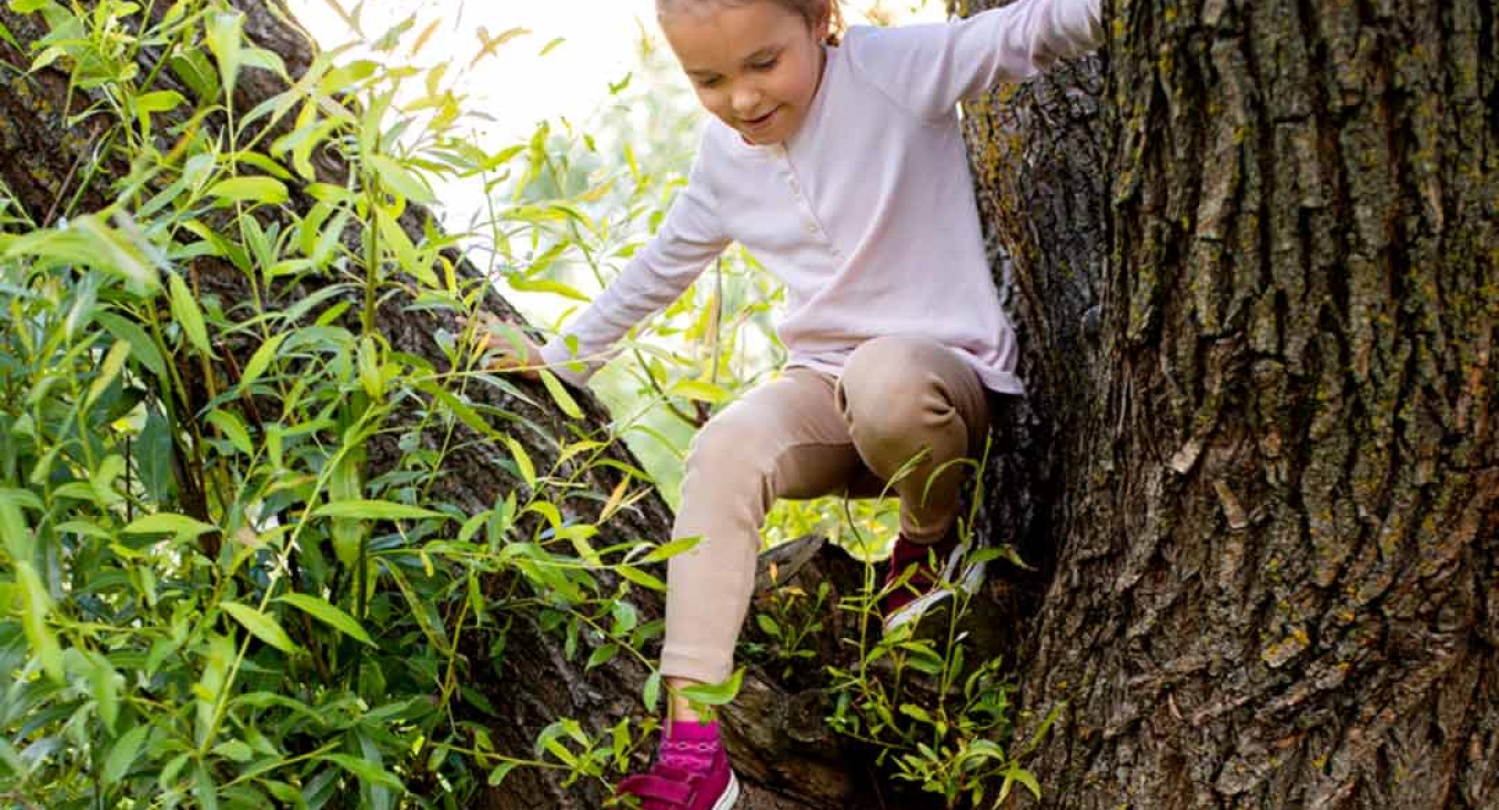 The Benefits of Risky Play