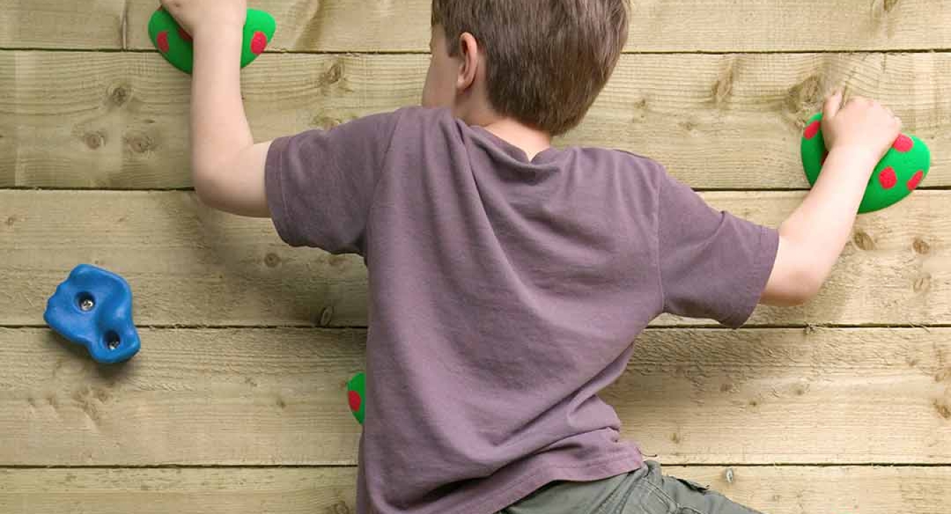 Why Children Climb