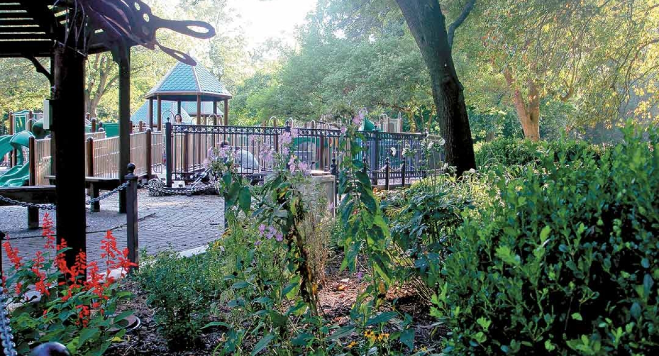 Benefits of Nature Play