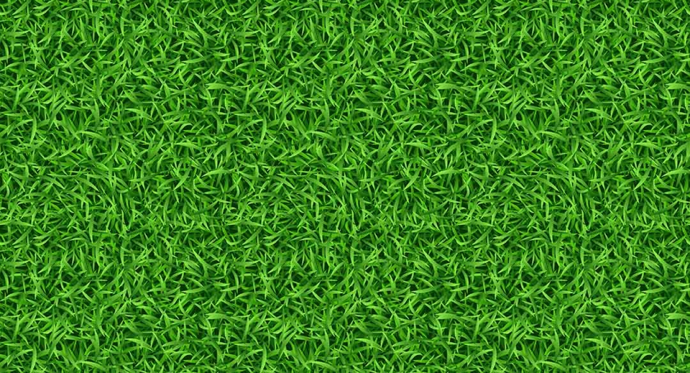 Artificial Grass Turf