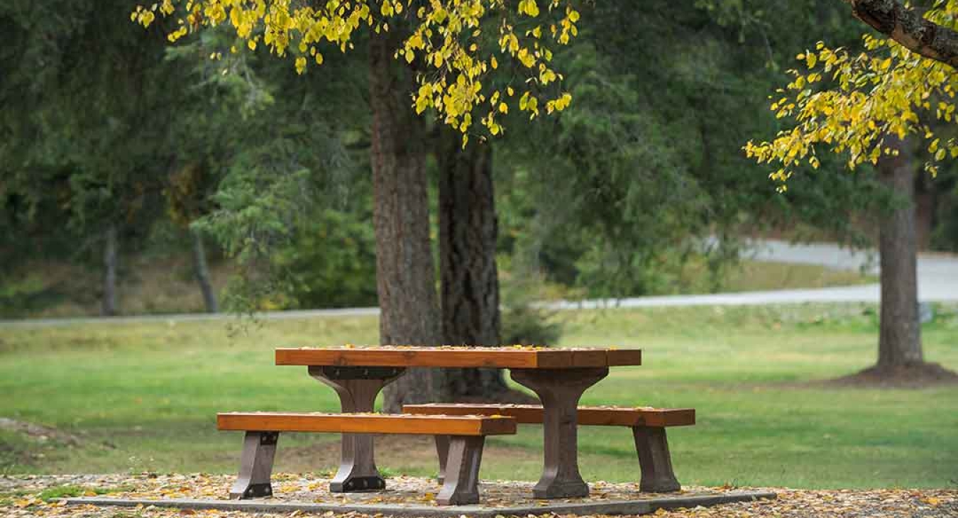 Picnic Table