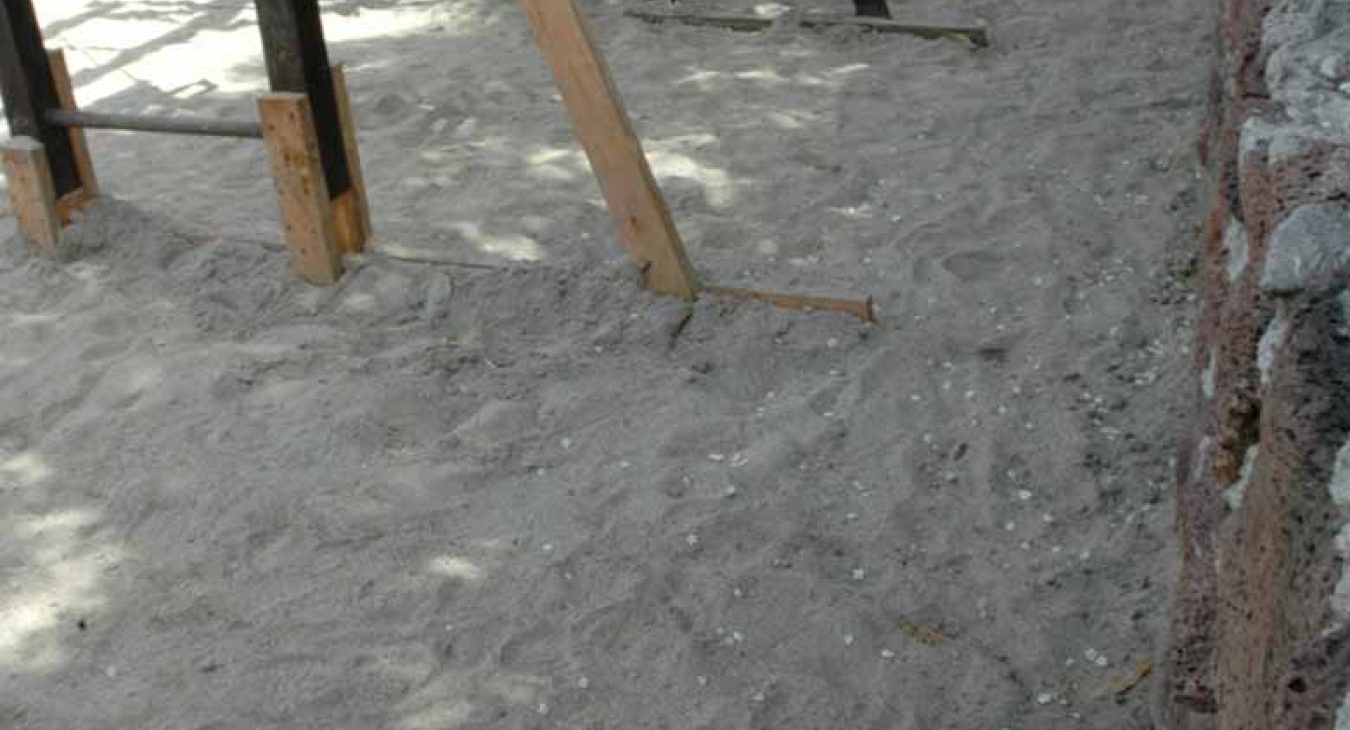 Lurking Hazard on the Playground