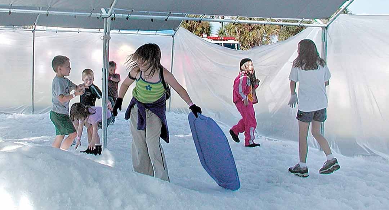 Snow in Fox Lake in February? 
