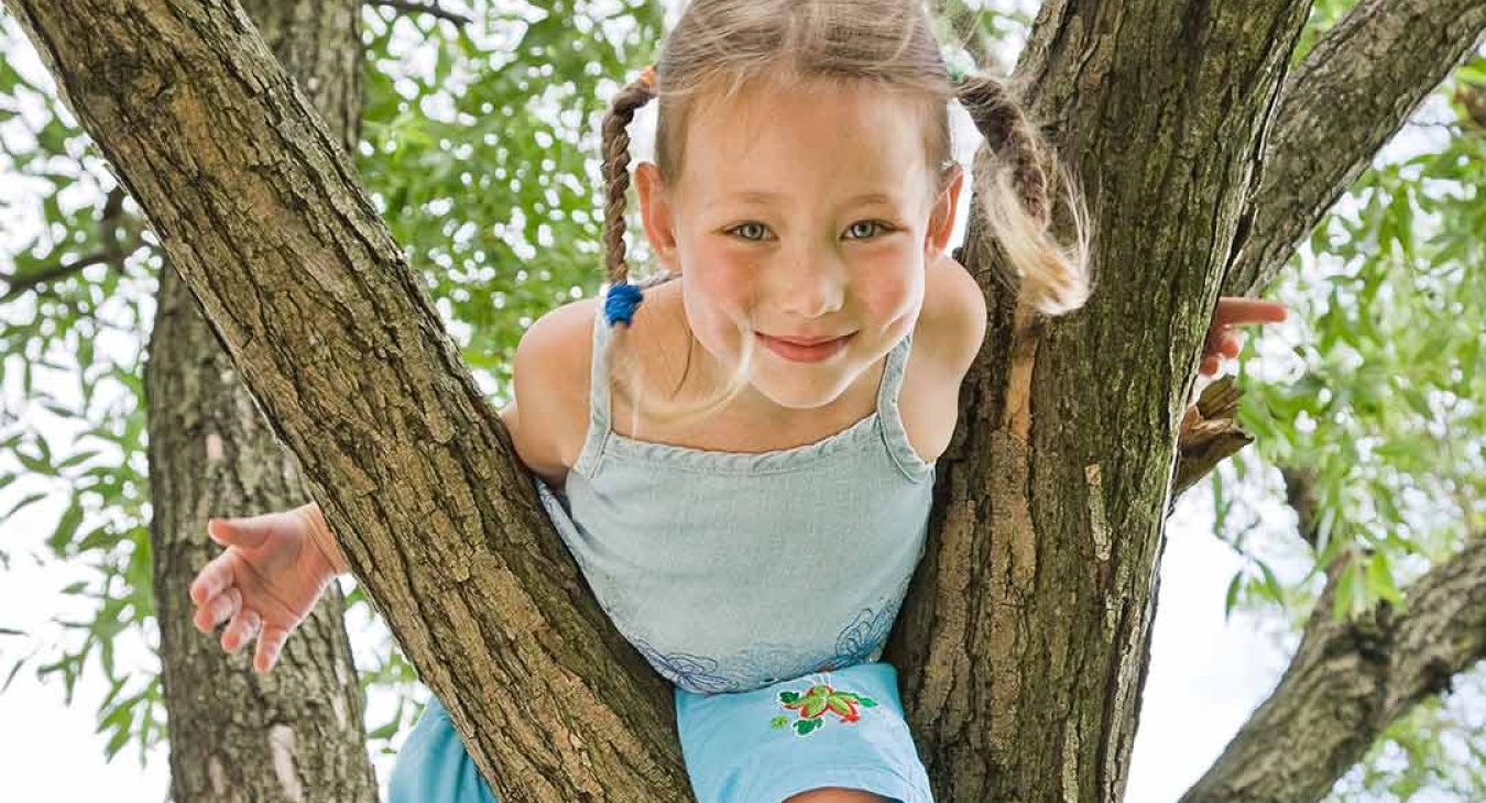 Why Children Climb