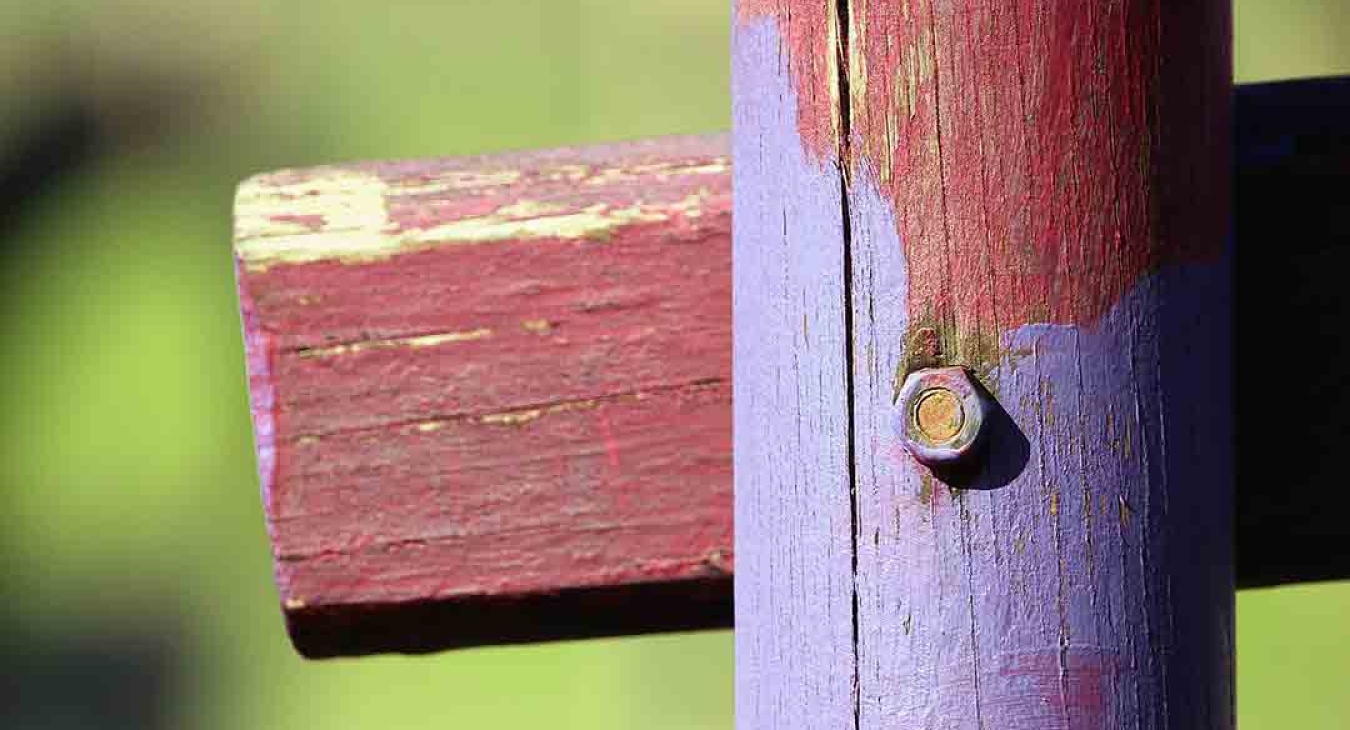 Rotten Wood Playground