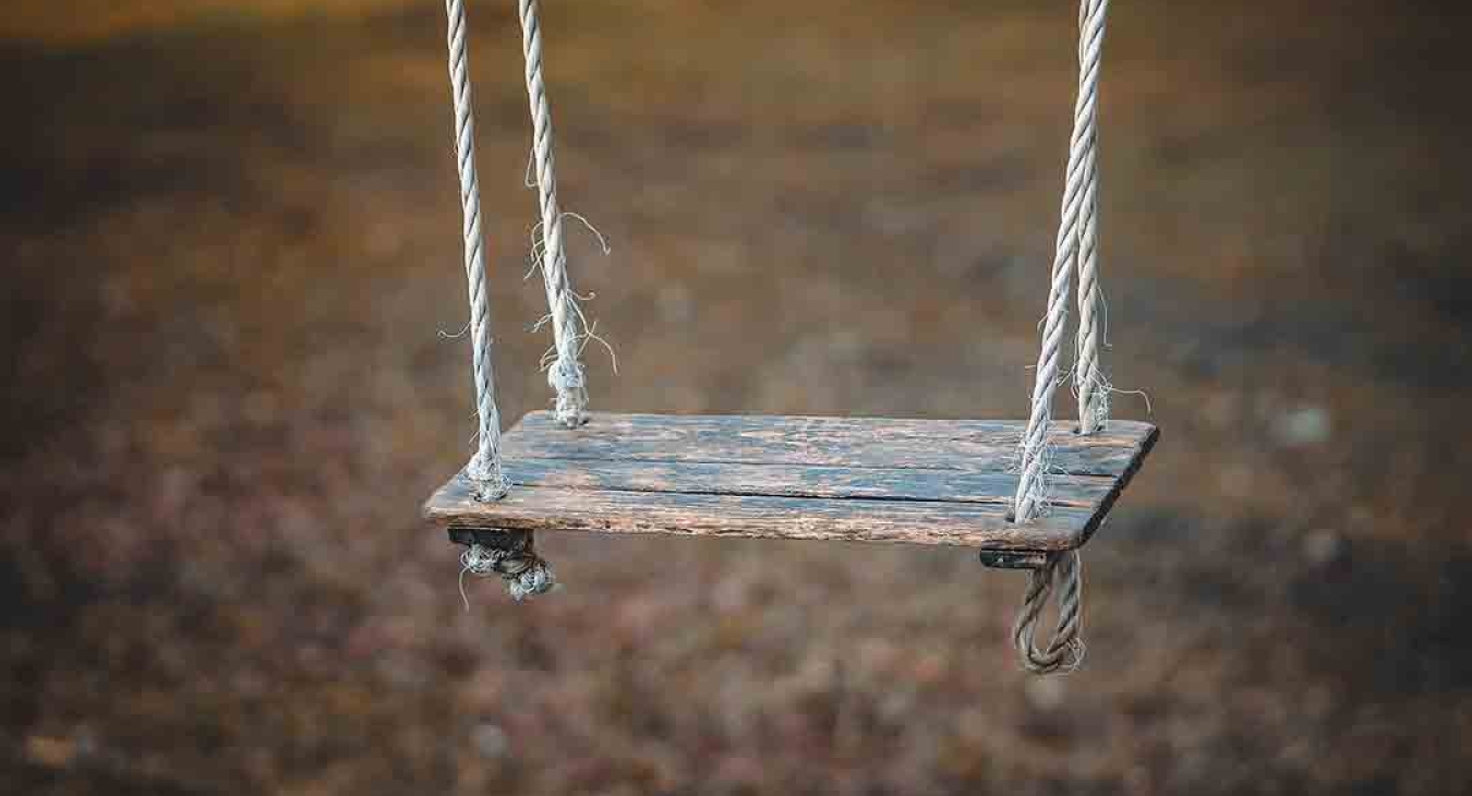 Rotten Wood Playground