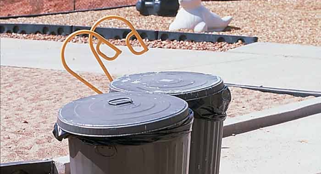 Playground Safety Rules