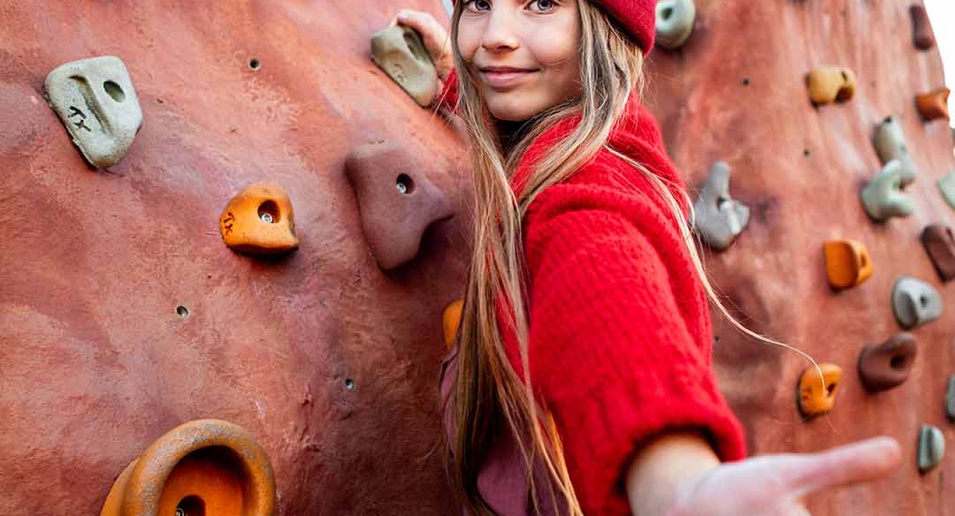 Auditing Climbing Structures and Site Amenities