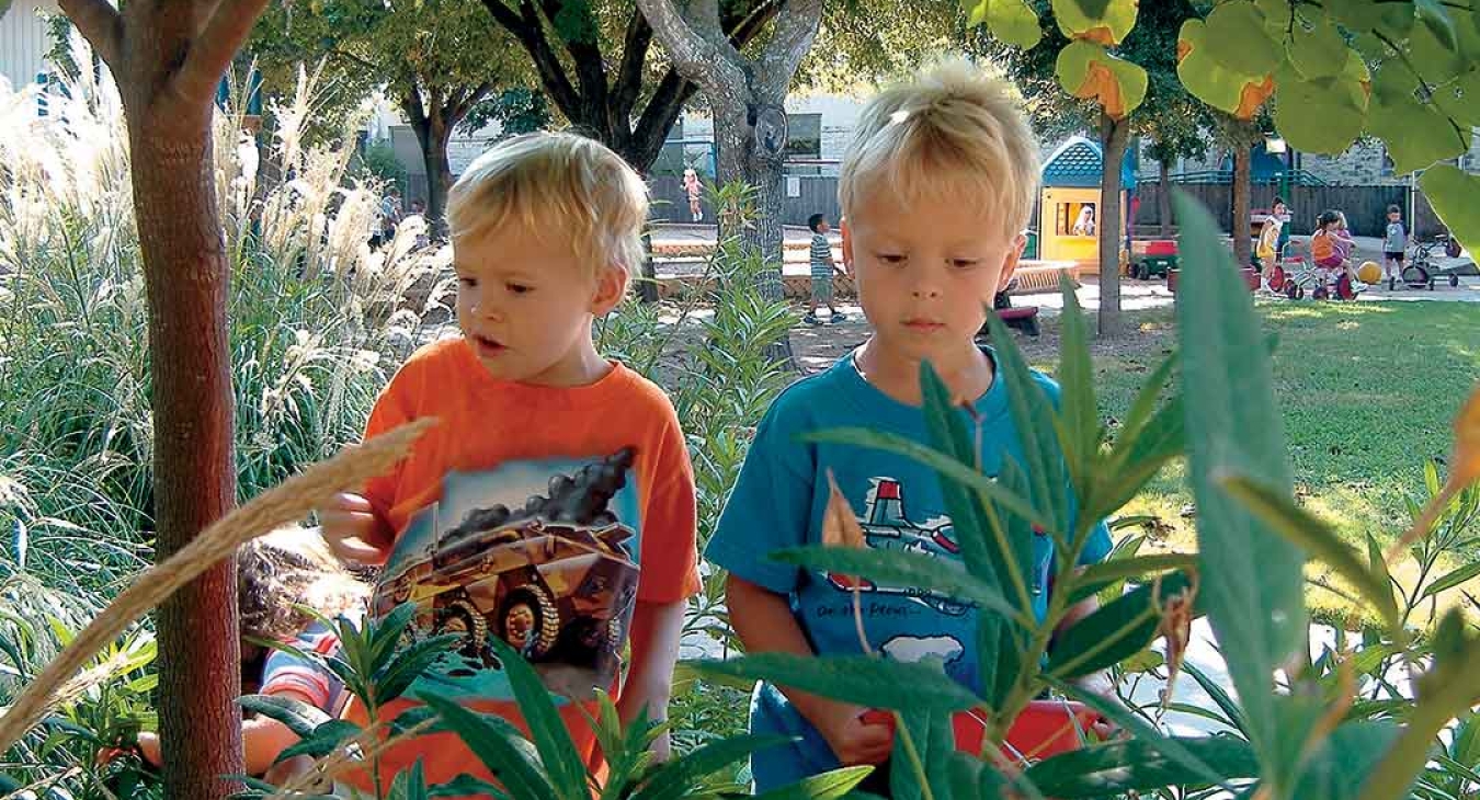 What Are Playgrounds?