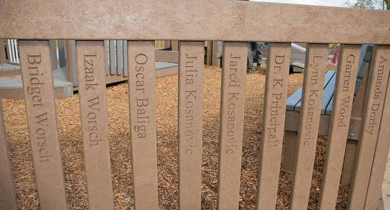 Rebuilding Wildcat Park 