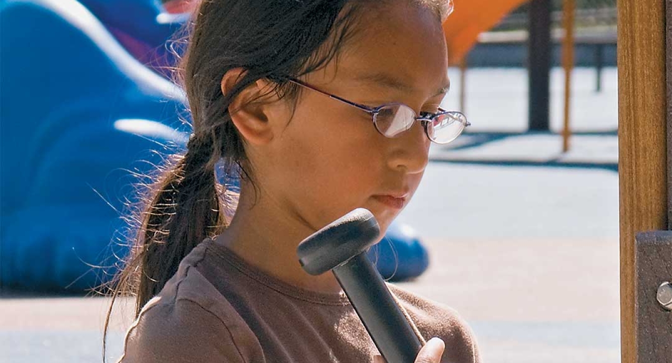 Fundraising for the Playground at Tautphaus Park