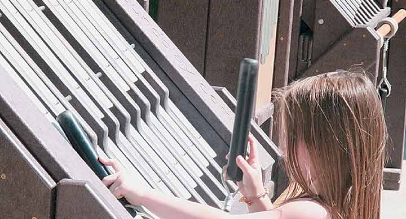 Fundraising for the Playground at Tautphaus Park